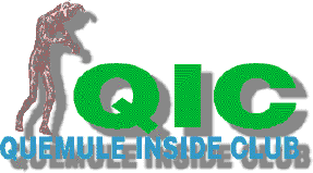 qic-title.GIF